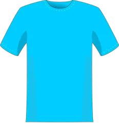 t shirt.webp